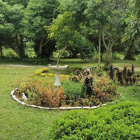 Вилла Betong House In The Garden Экстерьер фото