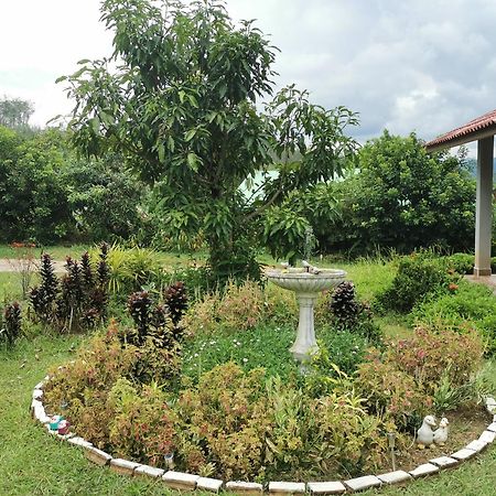 Вилла Betong House In The Garden Экстерьер фото